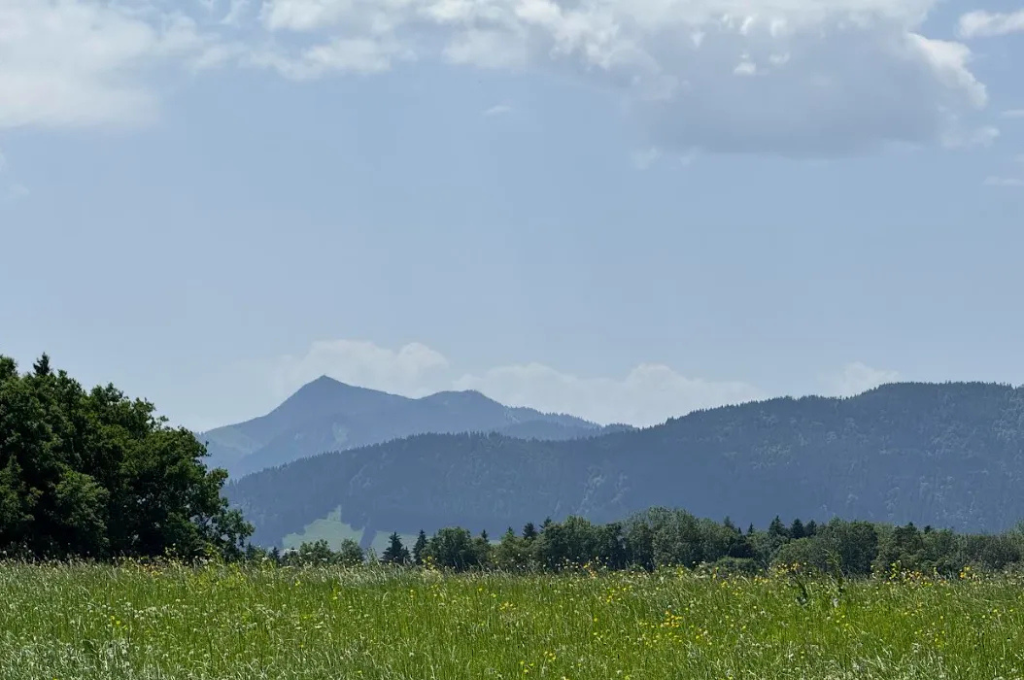 Trump and the Dictatorship of the Upper Middle-Class Urbanites