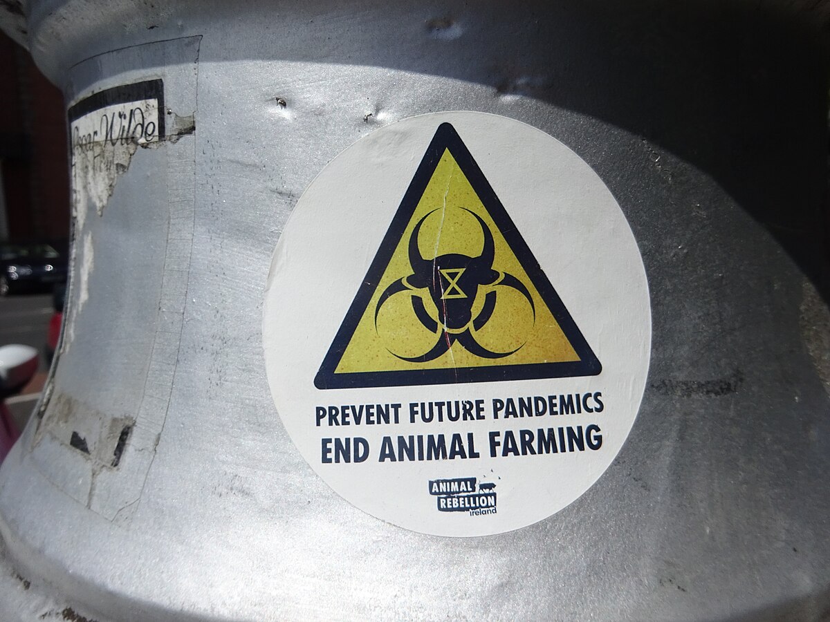 UK’s Beagle Rescue Trial