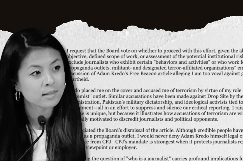 Dr. Nika Soon-Shiong fired from the Committee to Protect Journalists board