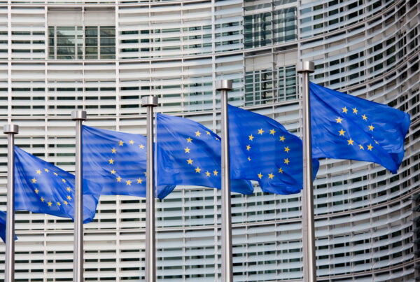 Several EU flags on poles