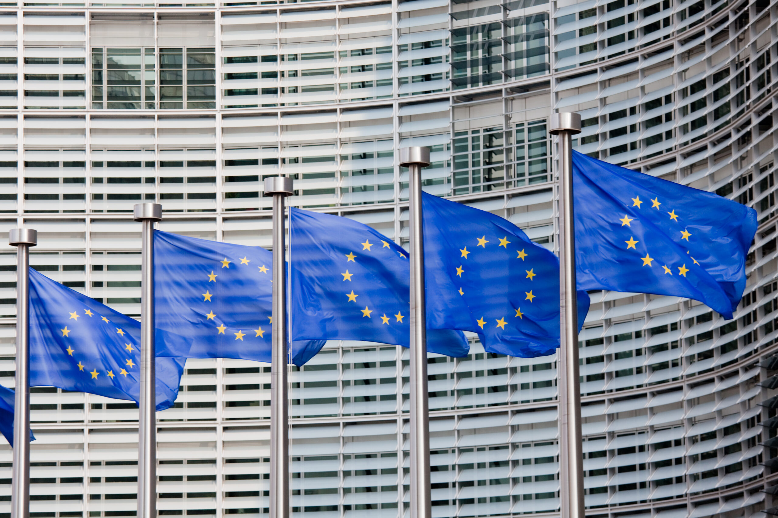 Dr. Friedrich Pürner: the undemocratic EU