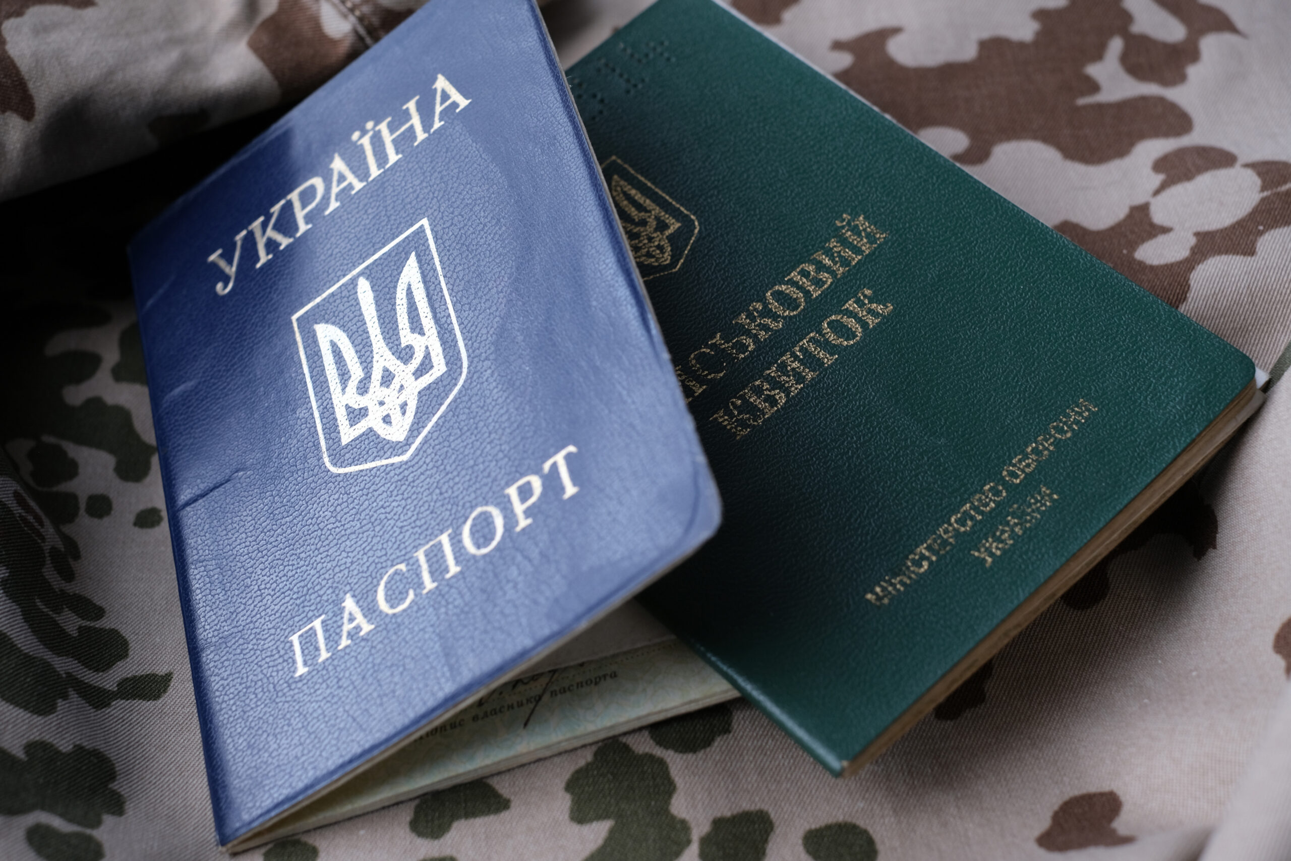 German Minister considers aiding Ukrainian conscription