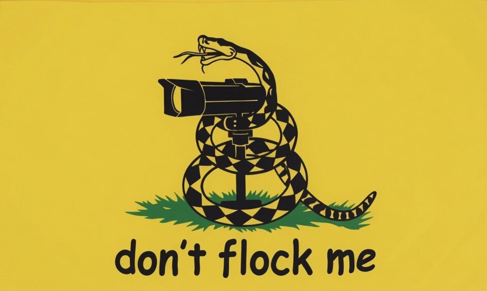 Woman arrested, dragged away after quietly speaking about Flock at city council meeting